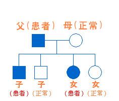 常染色体显性遗传