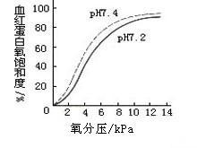 氧分压低