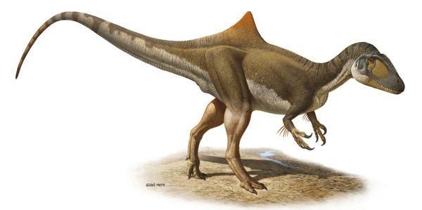 鲨齿龙+-+搜狗百科