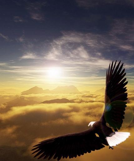 本义是鸟回旋飞翔,老鹰在天空中,振翅而不动.