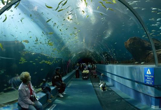 水族馆
