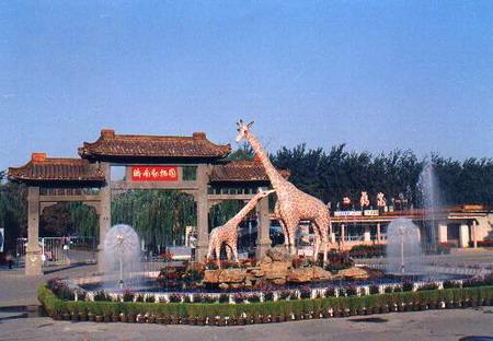 济南动物园(英文:jinan zoo),原名金牛公园,后称金牛动物园,始建于