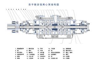 自平衡多级泵