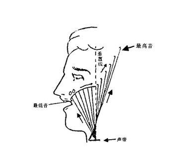 打开会厌,扩大喉腔,使声音得到丰富的高泛音,也就是所谓的"头腔共鸣"