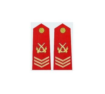 根据《深化士官制度改革方案》规定:"各衔级士官按照授予军衔级别佩带