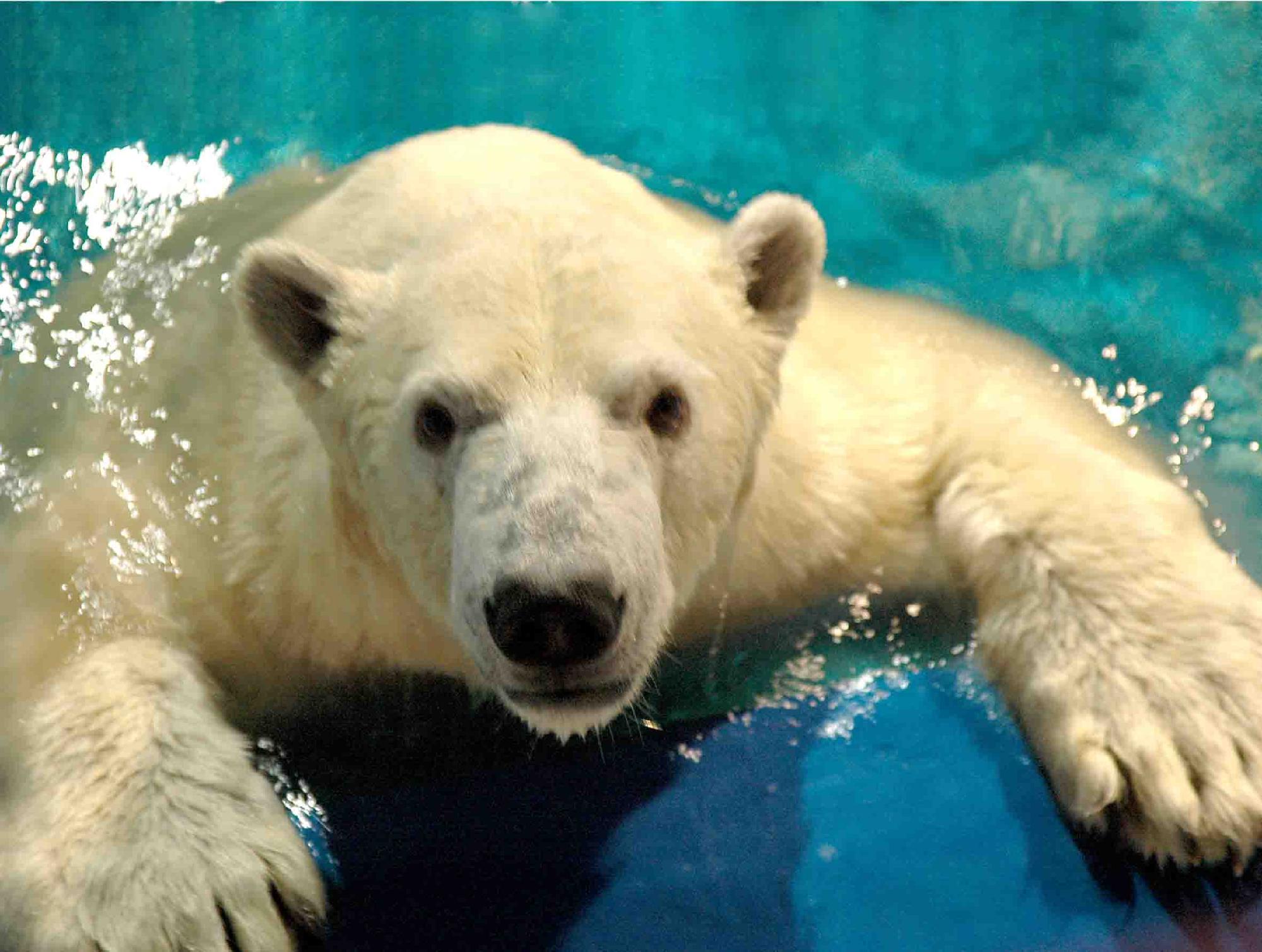 大连老虎滩+-+搜狗百科