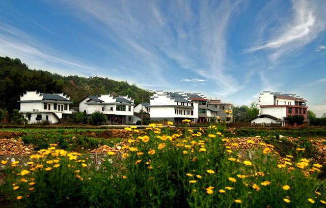 明嘉靖GDP_大明嘉靖年制真品图片(3)