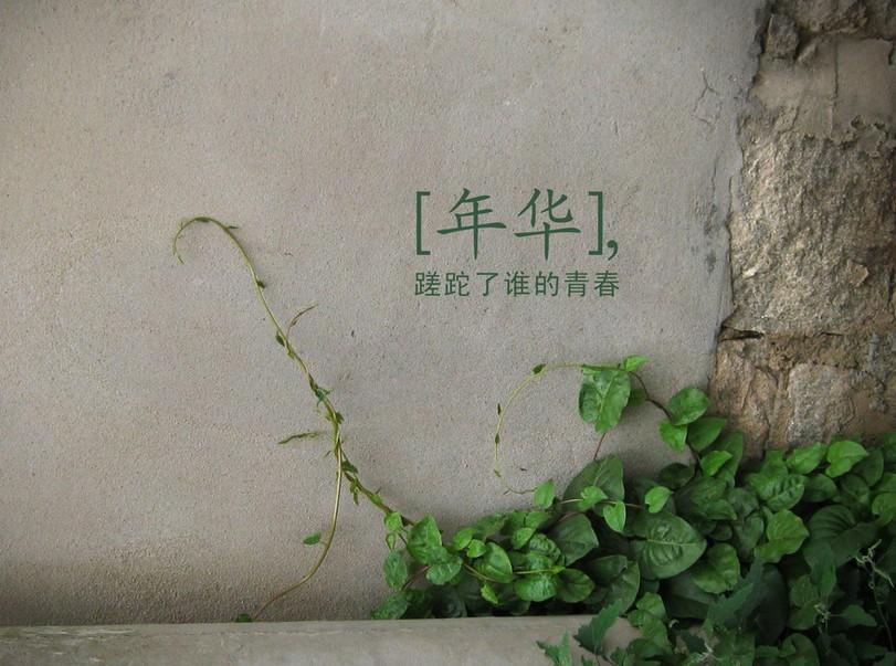 最老款绮'年华表_