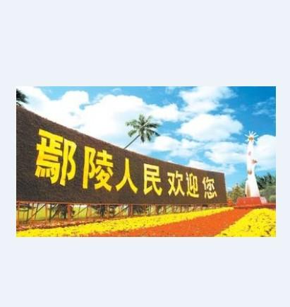 5县委书记宁伯伟2016鄢陵一高录取分数线谁知道啊?银川v县委初中部二中图片