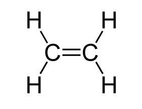 乙烯的分子结构