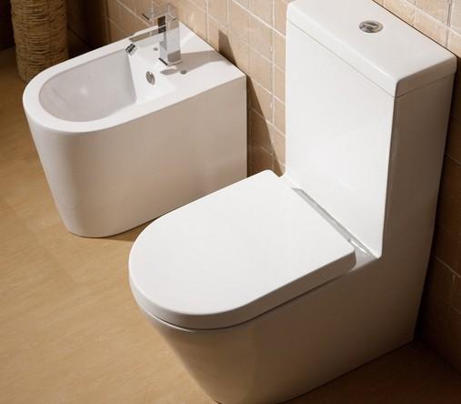 其技术特征在于在现有坐便器s型存水弯上部开