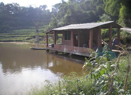 碾子湾村