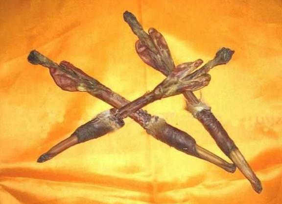 梅花鹿鞭主产于吉林,辽宁