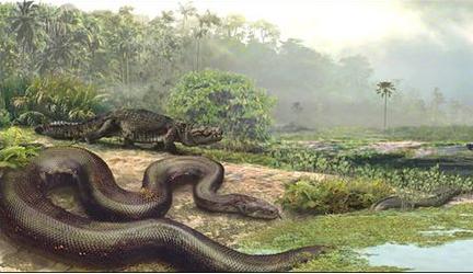 泰坦蟒+-+搜狗百科