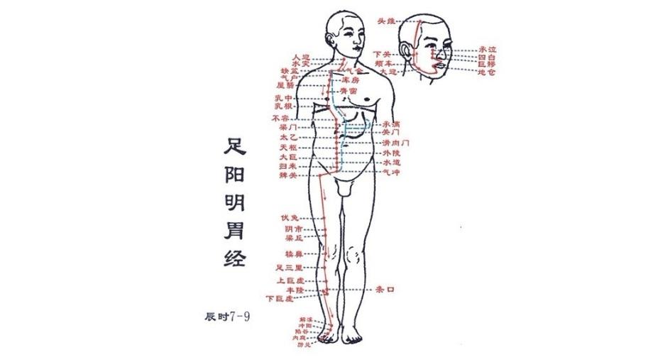 艾灸穴位图 搜狗百科