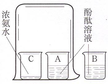 酚酞试液