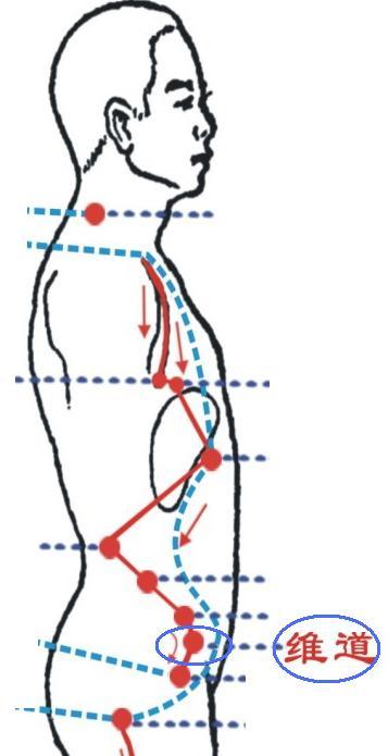 维道
