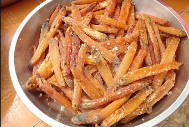 方格星虫的分布区域主要在中国福建