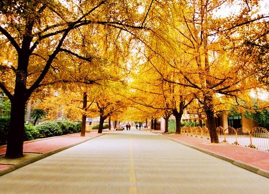 四川大学+-+搜狗百科