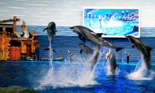 本溪到大连老虎滩海洋公园怎么走?