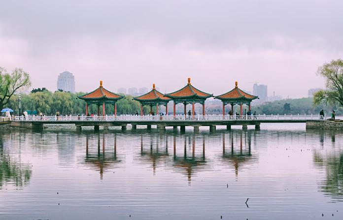 长春南湖公园_弥雅夏牛牛