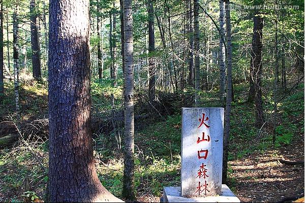 火山口国家森林公园