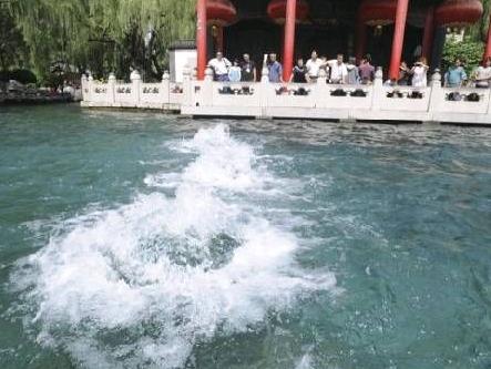趵突泉