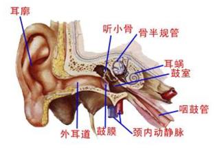 耳膜穿孔