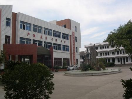 新河小学