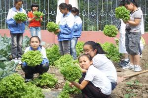 天津市北辰区南王平中心小学