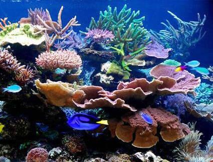 海洋博物馆图片