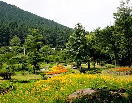 庐山植物园