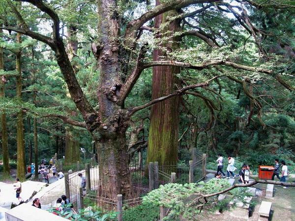 [原创]七律.庐山黄龙寺 - 怡心阁 - 怡心阁