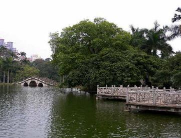 收入证明_南宁人民公园收入