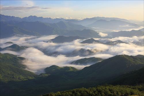 十万大山剿匪