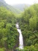 景德镇杨湾风景区