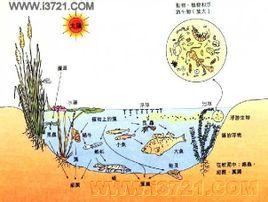 静水生态系统 该 