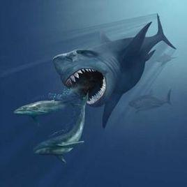 搜狗百科 噬人鲨属(carcharodon):它们是鲨鱼中最凶暴的,身长12米有