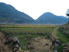 么空德村 么空德村隶属于珠琳镇西基德村委会,属于山区.距离村委会3.