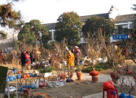 裕丰花市全称为合肥市裕丰花鸟鱼虫市场,该市场于1998年建成后使用.