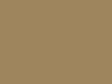 土棕褐色adobebrown一种比土棕色(adobe)深而偏灰,近似驼绒而略浅的