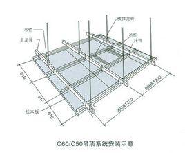 主龙骨