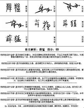 薛猛