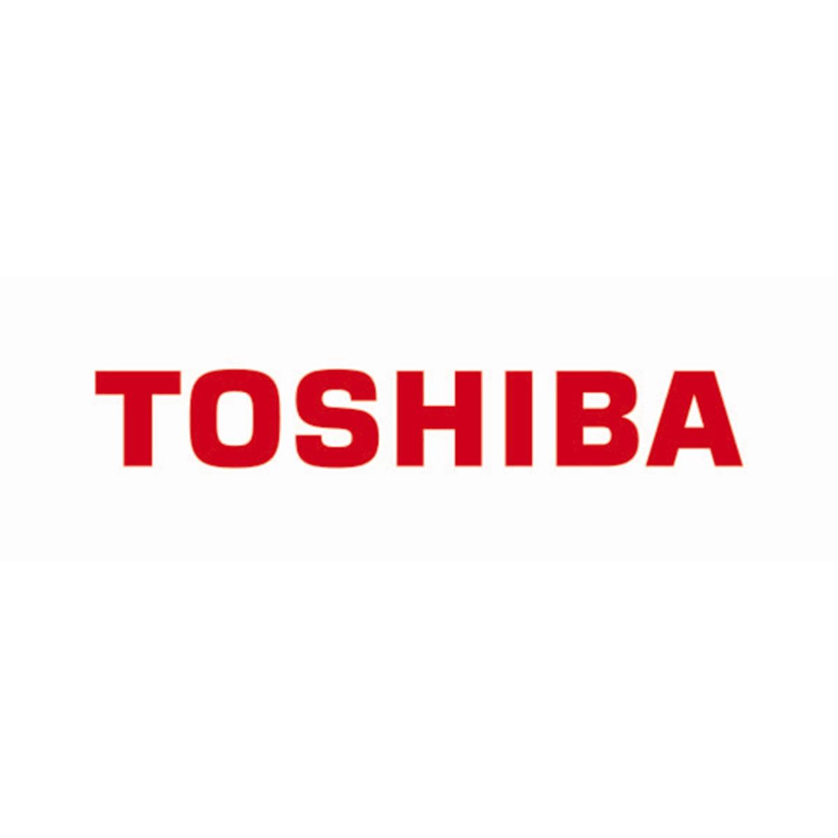 东芝(toshiba)是日本最大的半导体制造商,亦是第二大综合电机制造