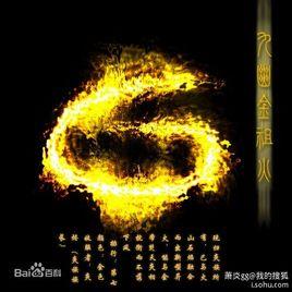 搜狗百科 《斗破苍穹》中的一种异火,排名第七.