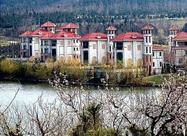 山东省烟台龙口市东江镇南山村