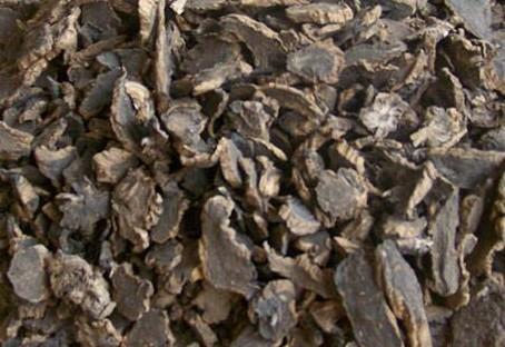 元参- 搜狗百科