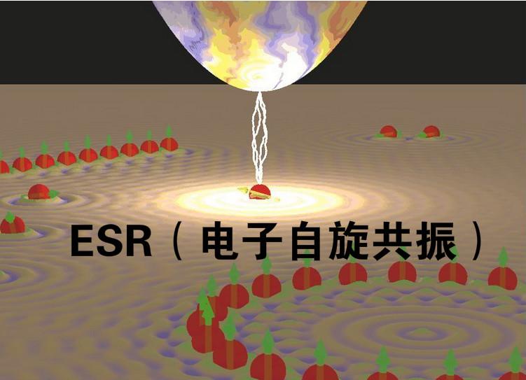 电子自旋共振