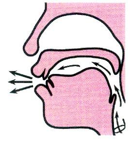 一些软腭化的辅音在国际音标中还可以用表示