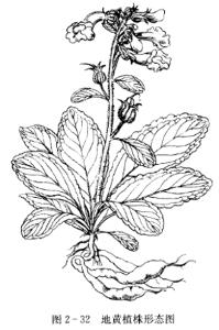 六合彩东方心经马报★新网址7123456.org★